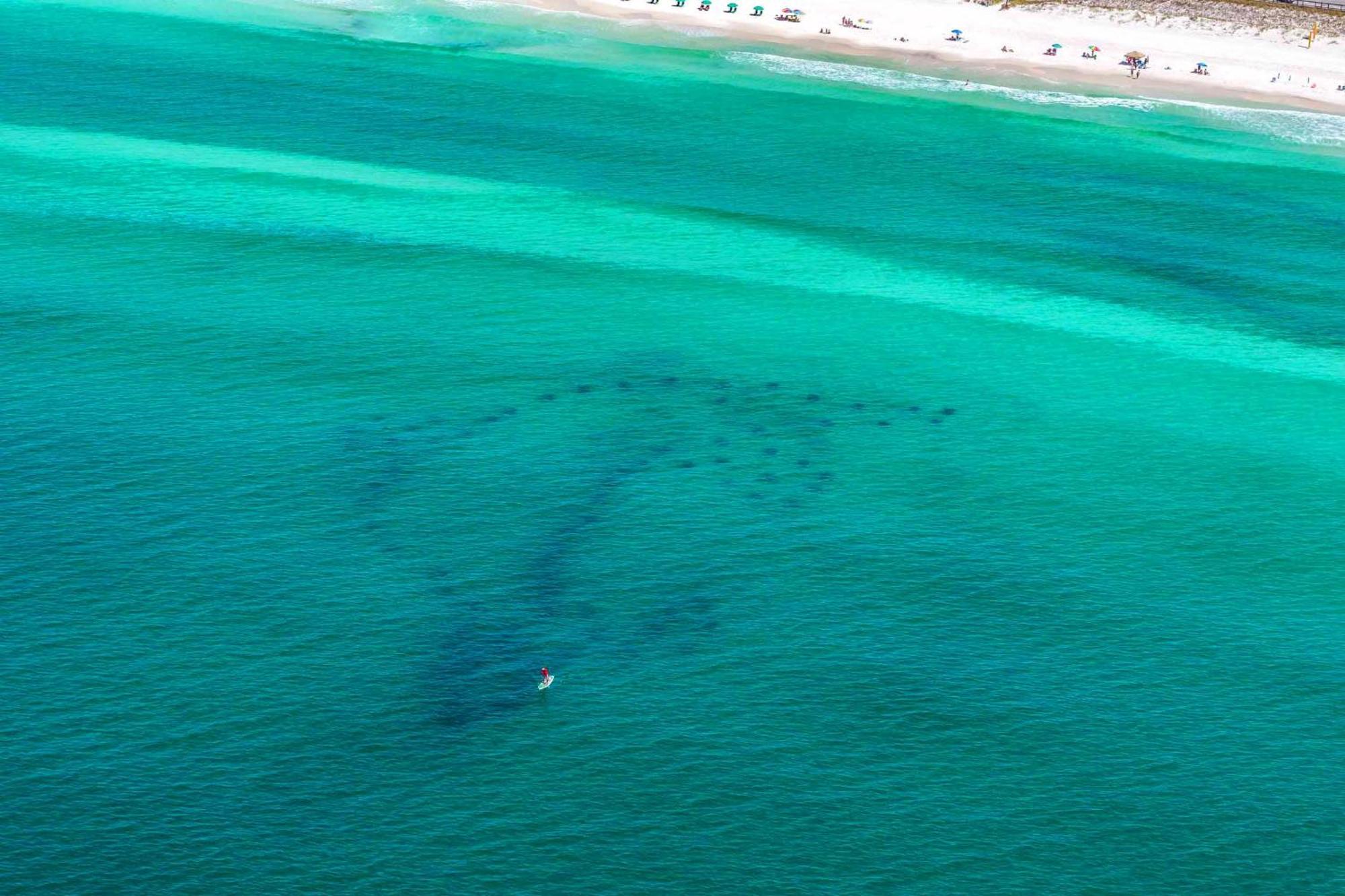 Ariel Dunes I 203 Destin Exteriör bild